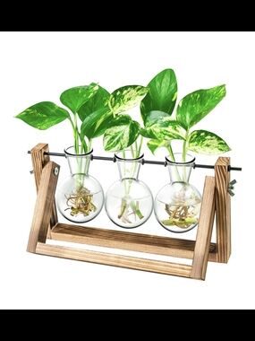 Tri-Glass Hydroponic Plant  Propagation Vases with Wooden Stand Terrariums Bulb